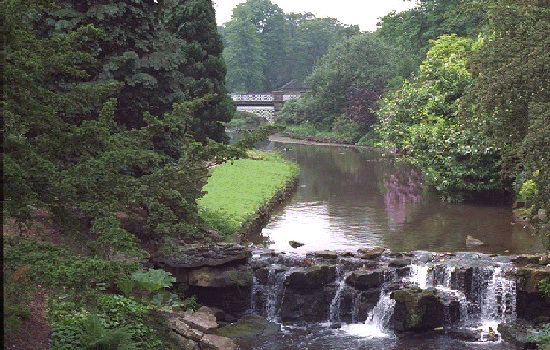 Water Fall